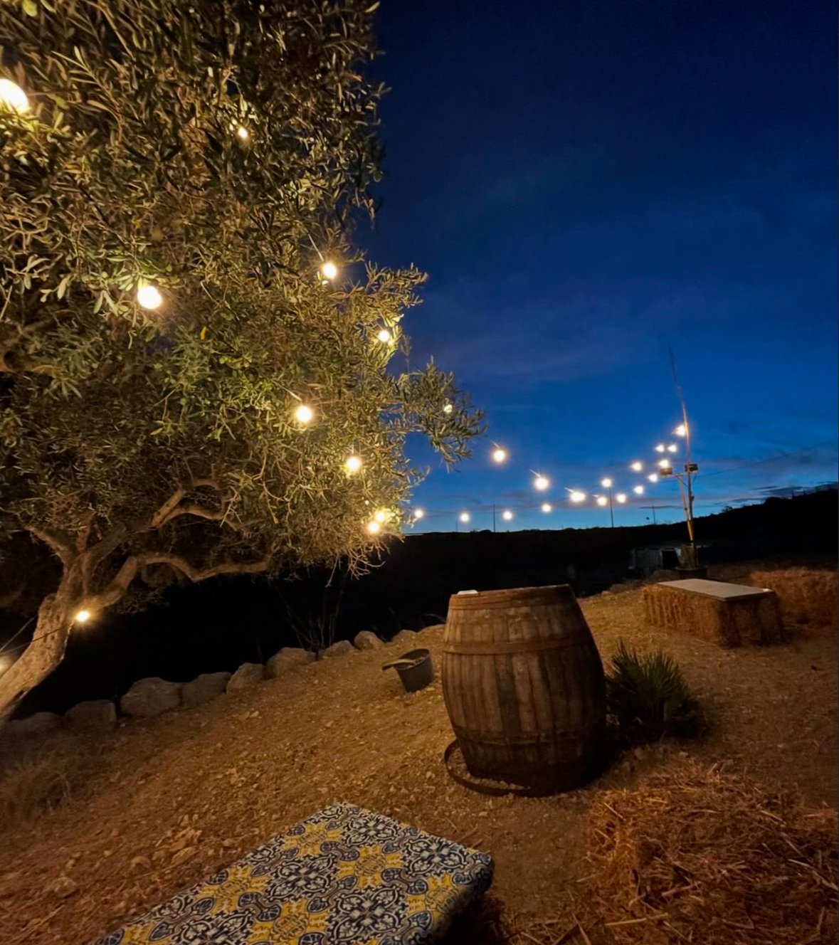 AGRIGENTO: Romantic Horseback Ride in Torre Salsa with KM0 Aperitif